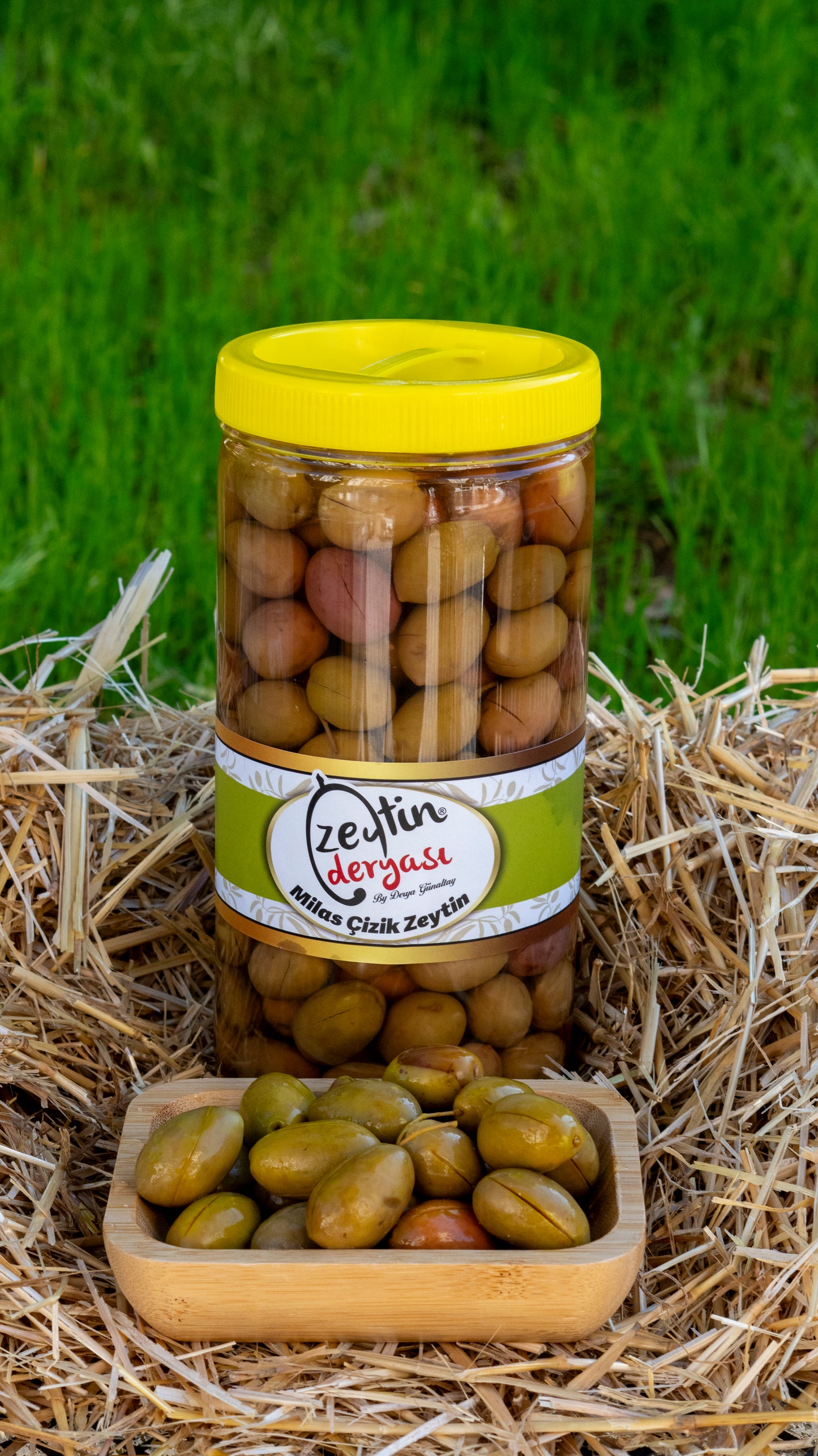 Milas Çizik Zeytin
