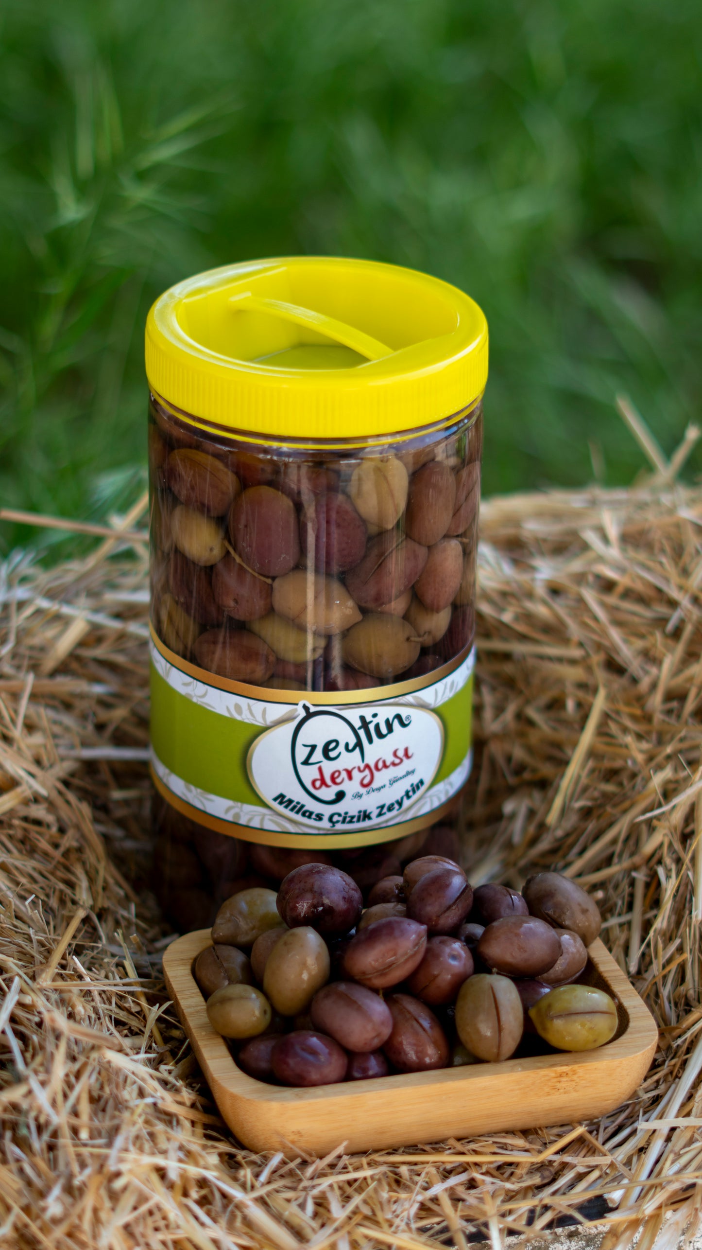 Vişne Çizik Zeytin 1 KG
