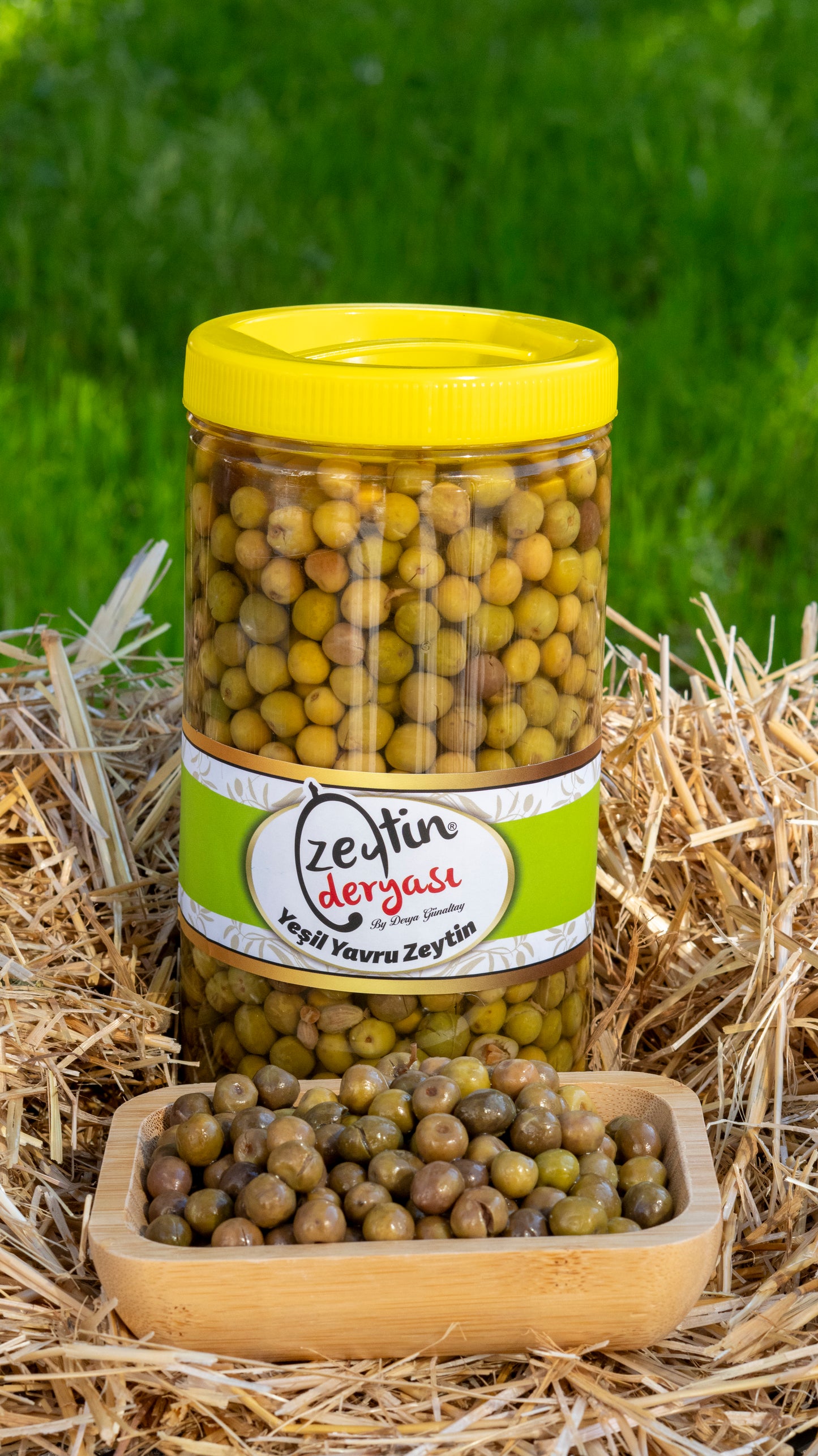Yavru Zeytin